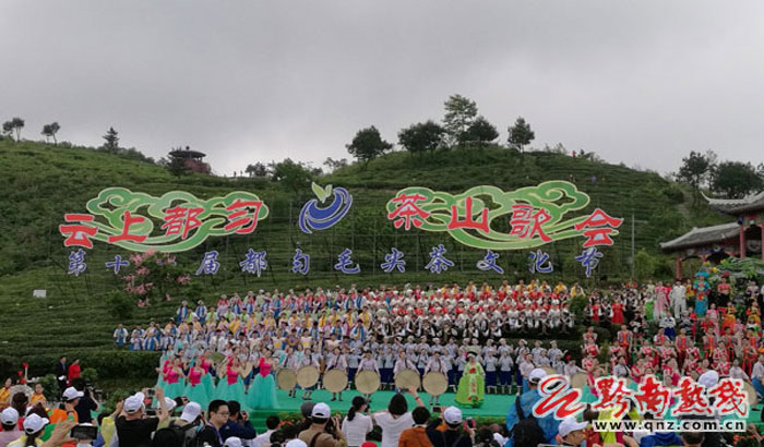 云端茶海举行第十一届都匀毛尖茶文化节