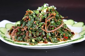 飘香马齿苋