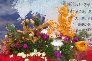 黔龙出山